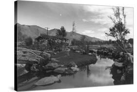 Pool in Pleasure Park-Ansel Adams-Stretched Canvas