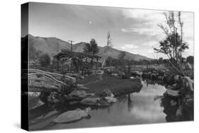 Pool in Pleasure Park-Ansel Adams-Stretched Canvas