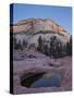 Pool in Slick Rock at Dawn, Zion National Park, Utah, United States of America, North America-James Hager-Stretched Canvas