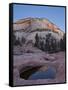 Pool in Slick Rock at Dawn, Zion National Park, Utah, United States of America, North America-James Hager-Framed Stretched Canvas