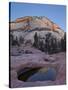 Pool in Slick Rock at Dawn, Zion National Park, Utah, United States of America, North America-James Hager-Stretched Canvas