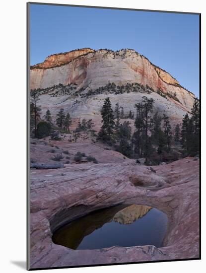 Pool in Slick Rock at Dawn, Zion National Park, Utah, United States of America, North America-James Hager-Mounted Photographic Print