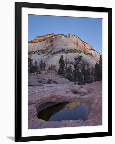 Pool in Slick Rock at Dawn, Zion National Park, Utah, United States of America, North America-James Hager-Framed Photographic Print