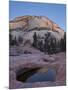 Pool in Slick Rock at Dawn, Zion National Park, Utah, United States of America, North America-James Hager-Mounted Photographic Print