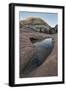 Pool in Slick Rock Reflecting First Light on a Sandstone Hill-James Hager-Framed Photographic Print