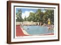 Brown Frame
