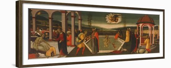 Pool of Bethesda-Jacopo Del Sellaio-Framed Premium Giclee Print