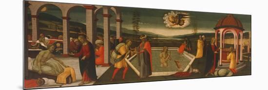 Pool of Bethesda-Jacopo Del Sellaio-Mounted Premium Giclee Print