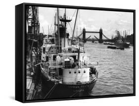 Pool of London-Fred Musto-Framed Stretched Canvas