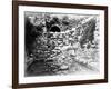 Pool of Siloam, Jerusalem, 1857 (B/W Photo)-James Robertson-Framed Giclee Print