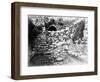 Pool of Siloam, Jerusalem, 1857 (B/W Photo)-James Robertson-Framed Giclee Print