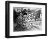 Pool of Siloam, Jerusalem, 1857 (B/W Photo)-James Robertson-Framed Giclee Print