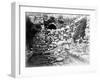 Pool of Siloam, Jerusalem, 1857 (B/W Photo)-James Robertson-Framed Giclee Print