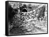 Pool of Siloam, Jerusalem, 1857 (B/W Photo)-James Robertson-Framed Stretched Canvas