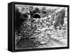 Pool of Siloam, Jerusalem, 1857 (B/W Photo)-James Robertson-Framed Stretched Canvas