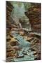 Pool of the Nymphs, Watkins Glen-null-Mounted Art Print