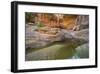 Pool of Water-Don Paulson-Framed Giclee Print