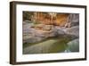Pool of Water-Don Paulson-Framed Giclee Print