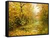 Pool On Road To Autumn Wood-balaikin2009-Framed Stretched Canvas