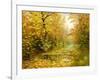 Pool On Road To Autumn Wood-balaikin2009-Framed Art Print