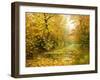 Pool On Road To Autumn Wood-balaikin2009-Framed Art Print