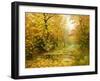 Pool On Road To Autumn Wood-balaikin2009-Framed Art Print