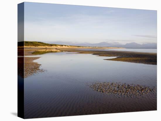 Pool on Sandy Llanddwyn Conservation Beach, Newborough, Anglesey, North Wales, UK-Pearl Bucknall-Stretched Canvas