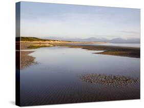 Pool on Sandy Llanddwyn Conservation Beach, Newborough, Anglesey, North Wales, UK-Pearl Bucknall-Stretched Canvas