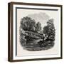 Pool on the Llugwy, North Wales, UK, 19th Century-null-Framed Giclee Print
