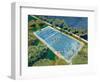 Pool Print-Eleanor Baker-Framed Photographic Print