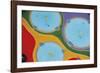 Pool Puzzle-Jason Hawkes-Framed Giclee Print