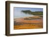 Pool Runoff of Orange Bacteria and Algae (Therophiles)-Richard Maschmeyer-Framed Photographic Print