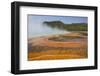 Pool Runoff of Orange Bacteria and Algae (Therophiles)-Richard Maschmeyer-Framed Photographic Print