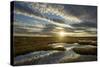 Pool System on Peat Bog at Dawn, Forsinard Flows Reserve, Flow Country, Sutherland, Scotland, UK-Mark Hamblin-Stretched Canvas