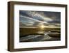 Pool System on Peat Bog at Dawn, Forsinard Flows Reserve, Flow Country, Sutherland, Scotland, UK-Mark Hamblin-Framed Photographic Print