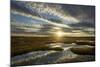 Pool System on Peat Bog at Dawn, Forsinard Flows Reserve, Flow Country, Sutherland, Scotland, UK-Mark Hamblin-Mounted Photographic Print