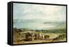 Poole, Dorset with Corfe Castle in the Distance-J. M. W. Turner-Framed Stretched Canvas