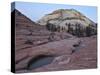 Pools in Slick Rock at Dawn, Zion National Park, Utah, United States of America, North America-James Hager-Stretched Canvas