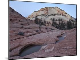 Pools in Slick Rock at Dawn, Zion National Park, Utah, United States of America, North America-James Hager-Mounted Photographic Print