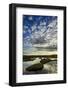 Pools on Peat Bog at Dawn, Forsinard Flows Rspb Reserve, Flow Country, Sutherland, Scotland, UK-Mark Hamblin-Framed Photographic Print