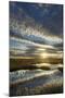 Pools on Peat Bog at Dawn, Forsinard Flows Rspb Reserve, Flow Country, Sutherland, Scotland, UK-Mark Hamblin-Mounted Photographic Print