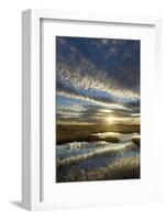 Pools on Peat Bog at Dawn, Forsinard Flows Rspb Reserve, Flow Country, Sutherland, Scotland, UK-Mark Hamblin-Framed Photographic Print