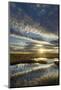 Pools on Peat Bog at Dawn, Forsinard Flows Rspb Reserve, Flow Country, Sutherland, Scotland, UK-Mark Hamblin-Mounted Photographic Print