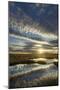 Pools on Peat Bog at Dawn, Forsinard Flows Rspb Reserve, Flow Country, Sutherland, Scotland, UK-Mark Hamblin-Mounted Photographic Print