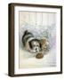 Poor Sport-Ruane Manning-Framed Premium Giclee Print