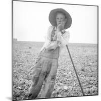 Poor white, North Carolina, 1936-Dorothea Lange-Mounted Photographic Print