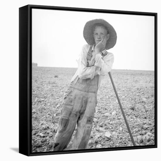 Poor white, North Carolina, 1936-Dorothea Lange-Framed Stretched Canvas