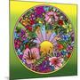 Pop Art Circle Flowers 615-Howie Green-Mounted Giclee Print