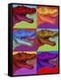 Pop Art Dinosaurs 2-Howie Green-Framed Stretched Canvas