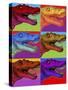 Pop Art Dinosaurs 2-Howie Green-Stretched Canvas